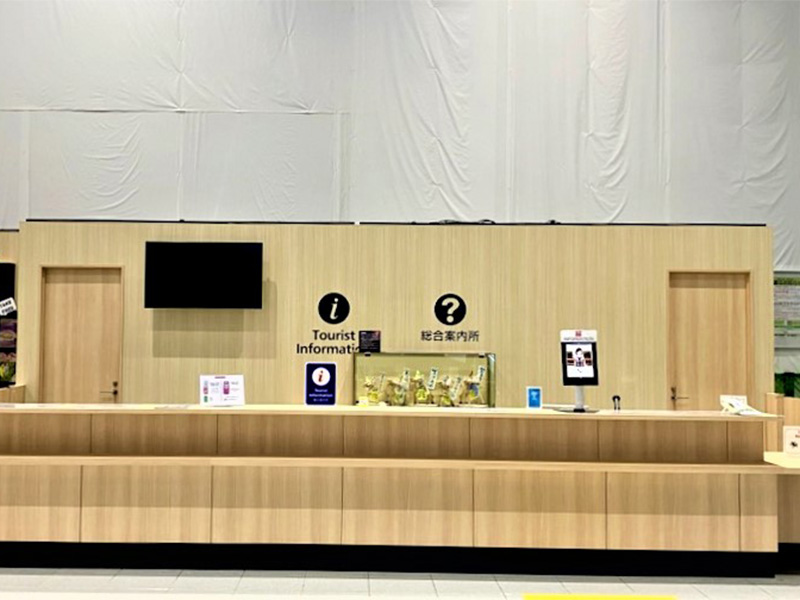 Information Counters